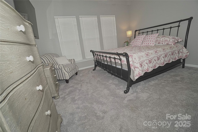 19182 Mallard Dr, Fort Mill, SC 29707 - photo 15