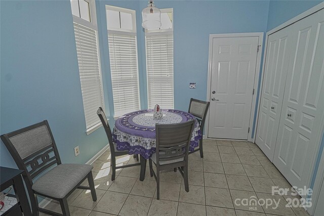 19182 Mallard Dr, Fort Mill, SC 29707 - photo 4
