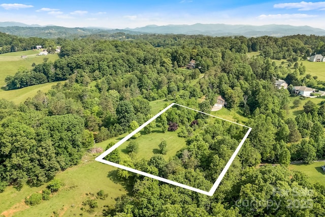 28 Sunberry Dr, Alexander, NC 28701
