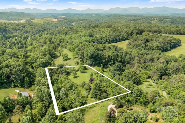 28 Sunberry Dr, Alexander, NC 28701