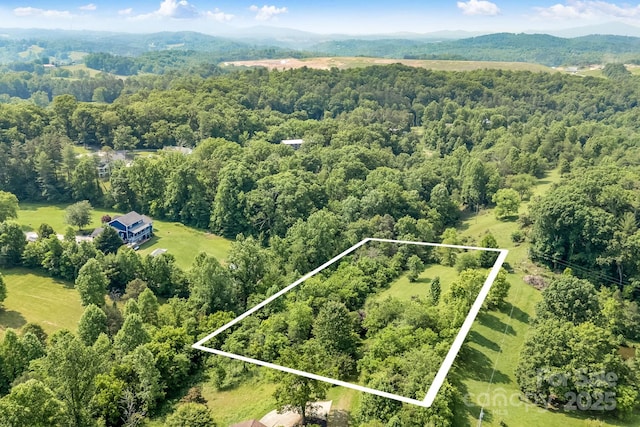 28 Sunberry Dr, Alexander, NC 28701
