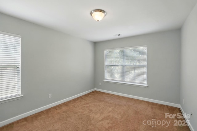 6333 Cory Bret Ln, Charlotte, NC 28278 - photo 27