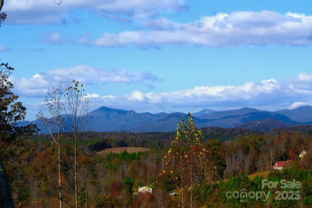 488 Moonlight Pass, Union Mills, NC 28167 - photo 1