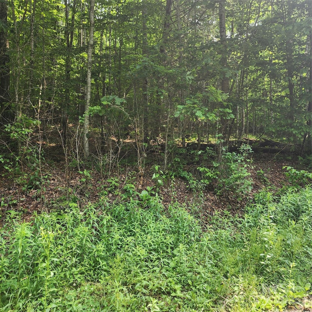 00 Poplar Creek Rd, Green Mountain, NC 28740