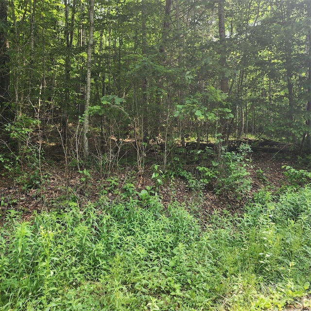 00 Poplar Creek Rd, Green Mountain, NC 28740