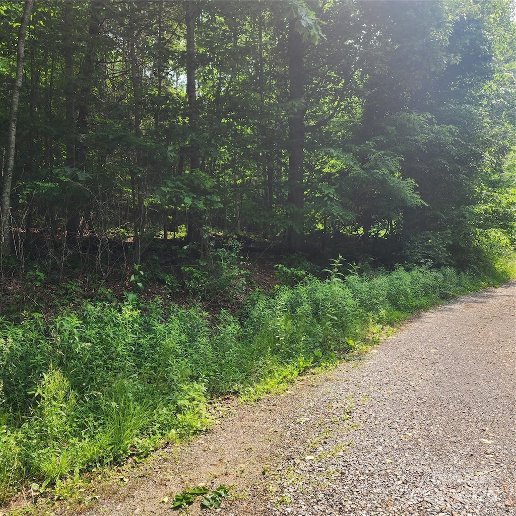 00 Poplar Creek Rd, Green Mountain, NC 28740