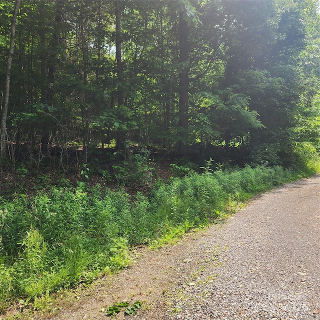 00 Poplar Creek Rd, Green Mountain, NC 28740
