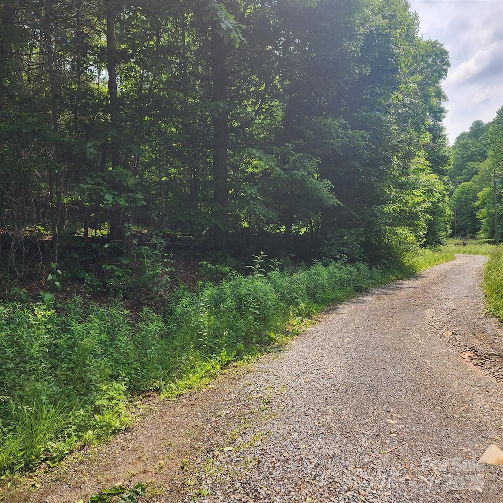 00 Poplar Creek Rd, Green Mountain, NC 28740