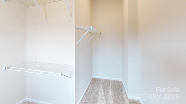 2547 Ruby Dixon Crossing Dr Unit 17, Gastonia, NC 28056 - spacious closet with carpet flooring