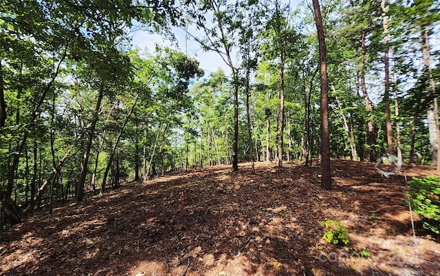 253 Nors Way Unit 26, Lake Lure, NC 28746 - view of undeveloped land