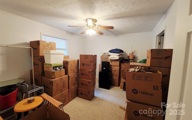 253 Nors Way Unit 26, Lake Lure, NC 28746 - storage room with a ceiling fan