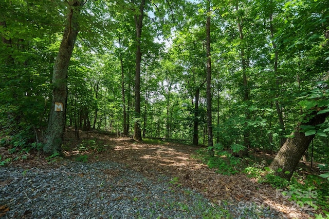 00 Hendren Rd, Moravian Falls, NC 28654 - photo 1