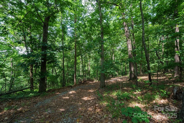 00 Hendren Rd, Moravian Falls, NC 28654 - photo 2