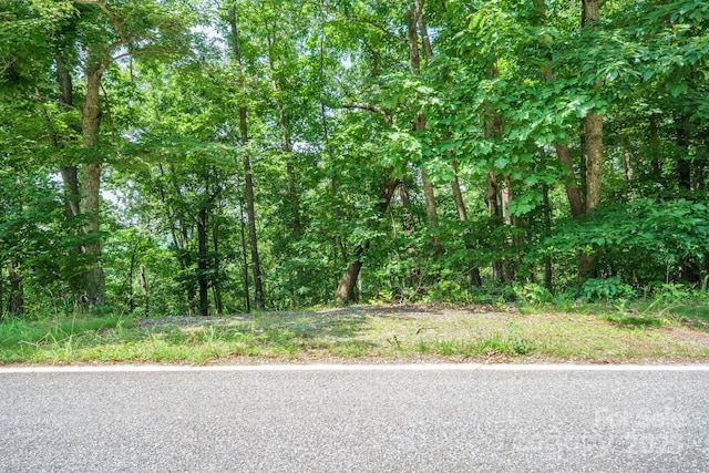 00 Hendren Rd, Moravian Falls, NC 28654 - photo 5