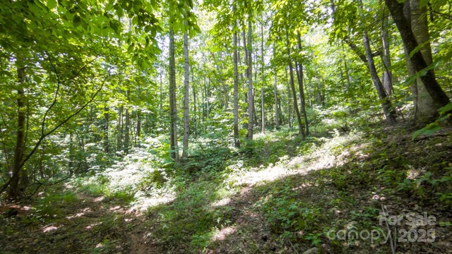 00 Hendren Rd, Moravian Falls, NC 28654 - photo 6