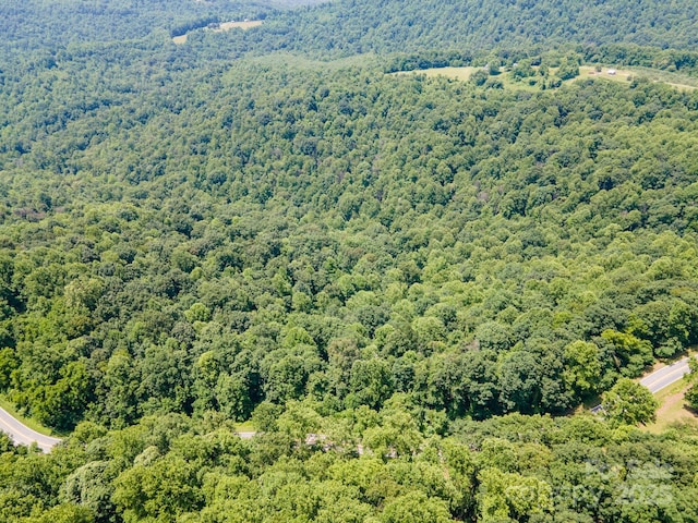 00 Hendren Rd, Moravian Falls, NC 28654 - photo 7