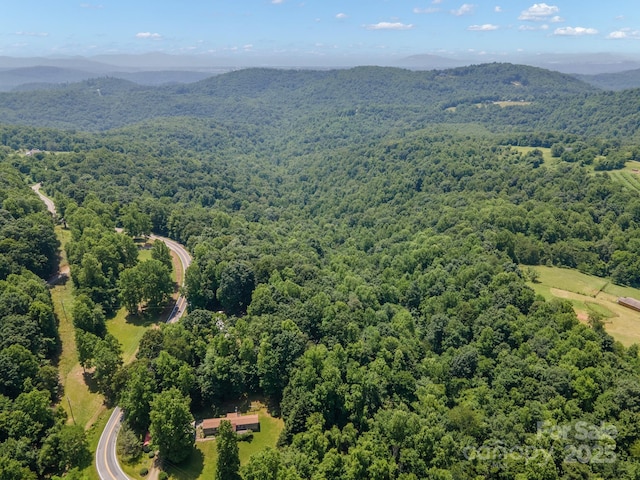 00 Hendren Rd, Moravian Falls, NC 28654 - photo 9