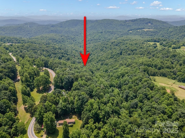 00 Hendren Rd, Moravian Falls, NC 28654 - photo 10