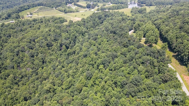 00 Hendren Rd, Moravian Falls, NC 28654 - photo 11