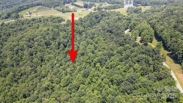 00 Hendren Rd, Moravian Falls, NC 28654 - photo 12
