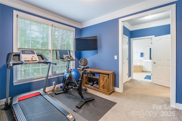 1868 Chestnut Hill Dr, Tega Cay, SC 29708 - exercise room featuring baseboards, healthy amount of natural light, carpet flooring, and ornamental molding