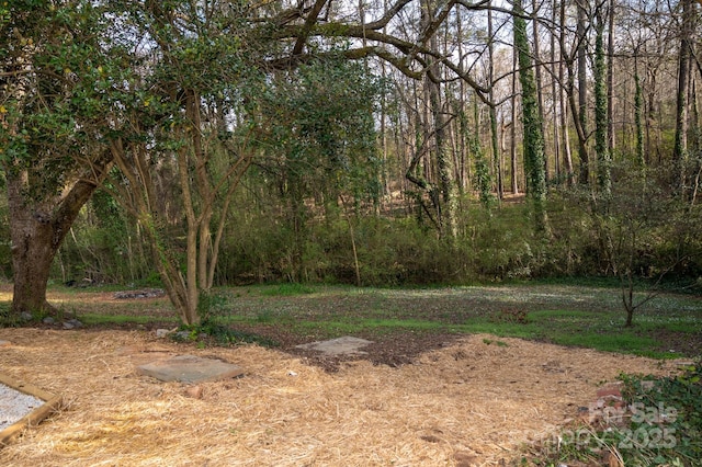 113 Elwood St, Kannapolis, NC 28081 - view of yard featuring a view of trees