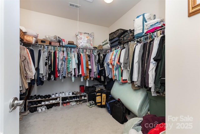 1663 Tranquility Blvd, Lancaster, SC 29720 - walk in closet featuring carpet flooring