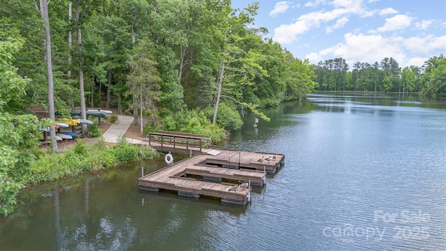 1663 Tranquility Blvd, Lancaster, SC 29720 - dock with a water view and a view of trees