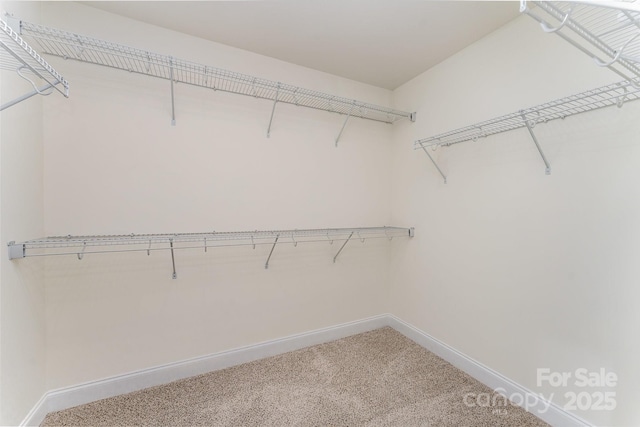 15524 Scholastic Dr, Charlotte, NC 28277 - photo 14
