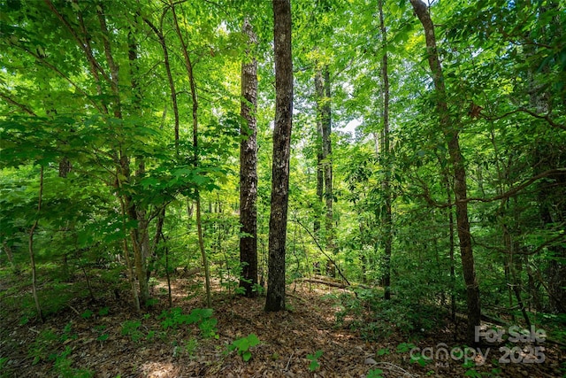 00000 Foster Hill Dr Unit 3, Hendersonville, NC 28739