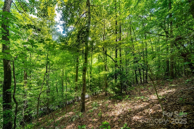 00000 Foster Hill Dr Unit 3, Hendersonville, NC 28739