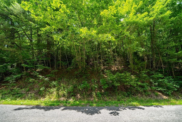 00000 Foster Hill Dr Unit 3, Hendersonville, NC 28739