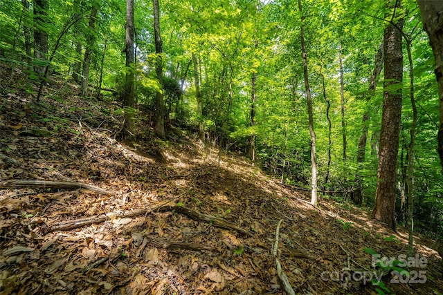 00000 Foster Hill Dr Unit 3, Hendersonville, NC 28739