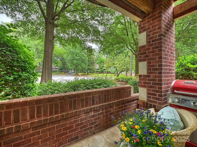 416 Queens Rd Unit 10, Charlotte, NC 28207 - view of patio featuring a grill