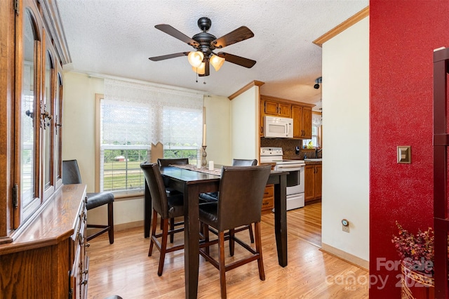 1720 Lowe Dr, Catawba, NC 28609 - dining area with light wood-type flooring, ceiling fan, a textured ceiling, baseboards, and ornamental molding