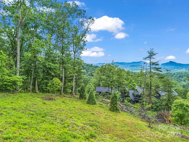 18 Giffords Ln Unit 14, Asheville, NC 28803