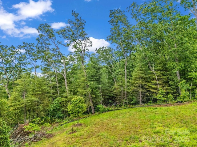 18 Giffords Ln Unit 14, Asheville, NC 28803