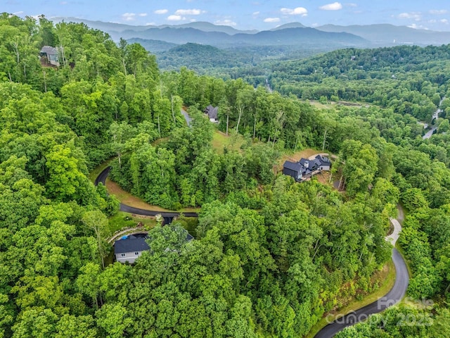 18 Giffords Ln Unit 14, Asheville, NC 28803