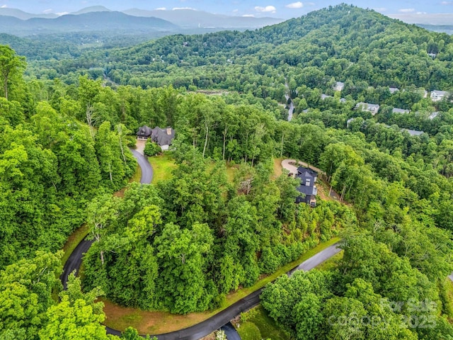 18 Giffords Ln Unit 14, Asheville, NC 28803