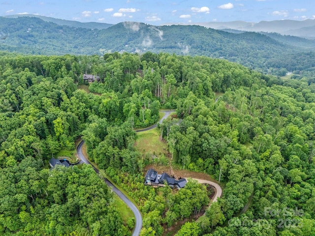 18 Giffords Ln Unit 14, Asheville, NC 28803