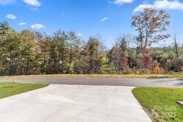 191 Cherry Springs Ln Unit 24-F, Asheville, NC 28804 - view of concrete driveway with a view of trees