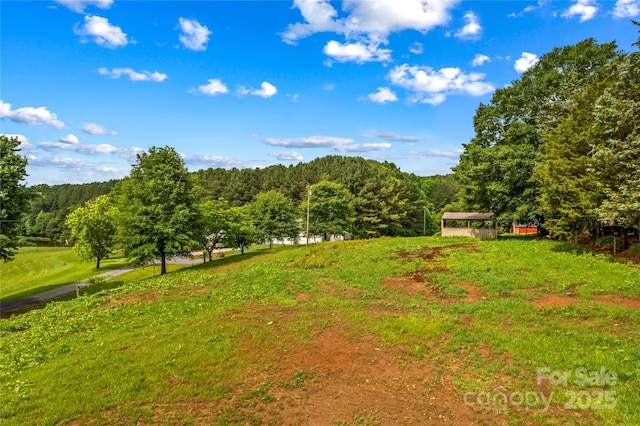 296 Hicks Creek Rd, Troutman, NC 28166 - view of yard featuring a forest view