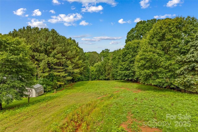 296 Hicks Creek Rd, Troutman, NC 28166 - view of green lawn with a forest view