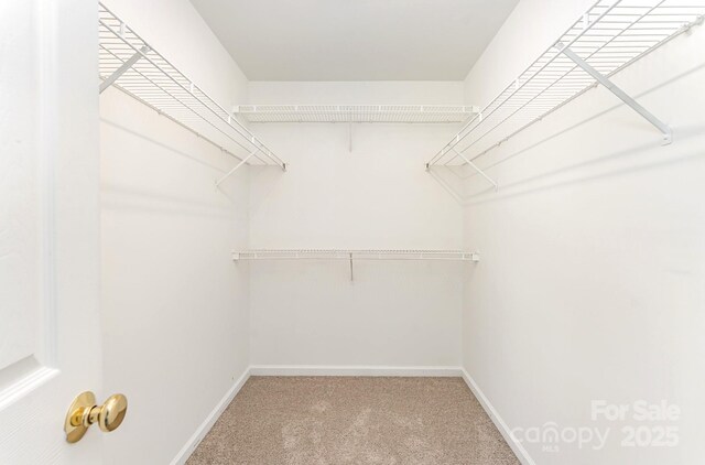 9146 Austin Ridge Ln, Charlotte, NC 28214 - photo 15