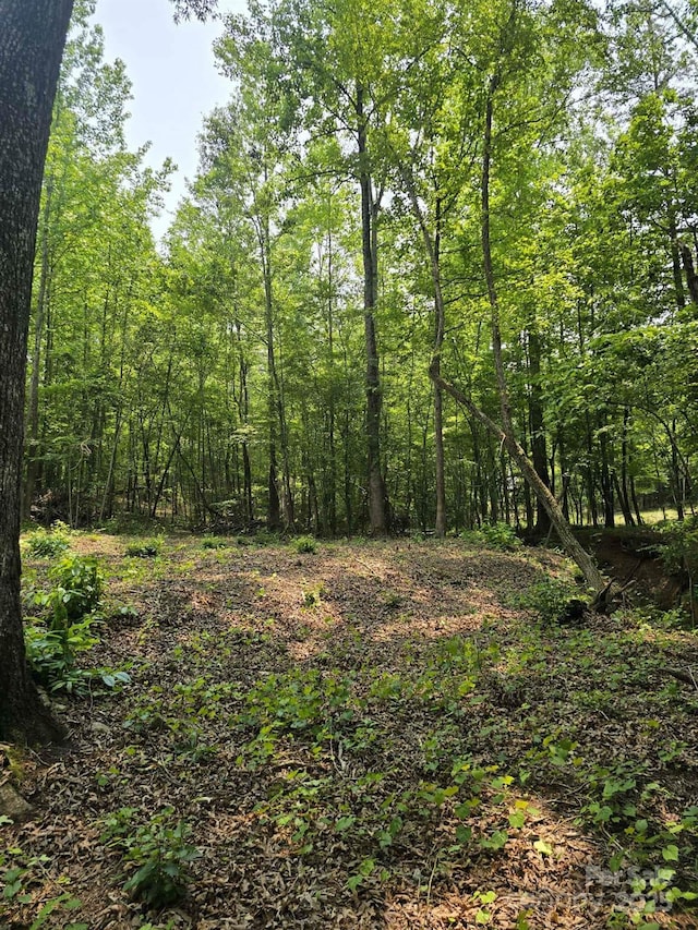 LOT9 State Line Rd Unit 9, Mooresboro, NC 28114