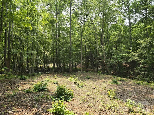 LOT9 State Line Rd Unit 9, Mooresboro, NC 28114