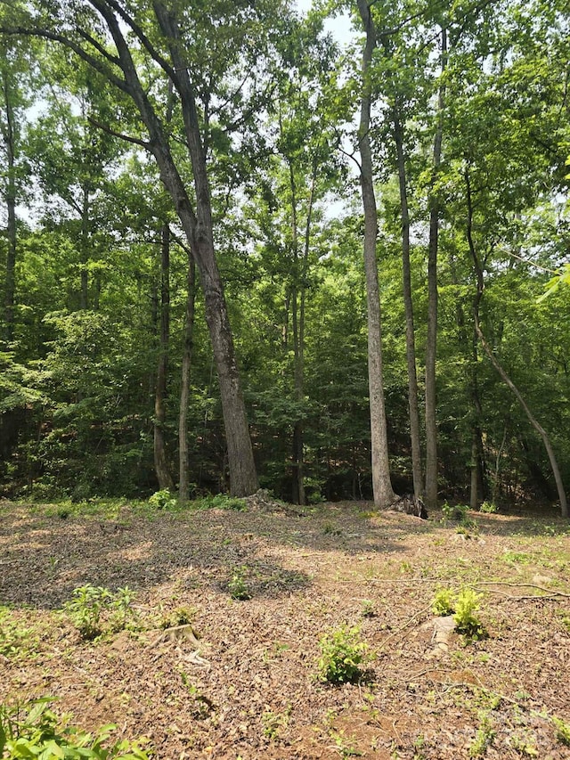 LOT9 State Line Rd Unit 9, Mooresboro, NC 28114