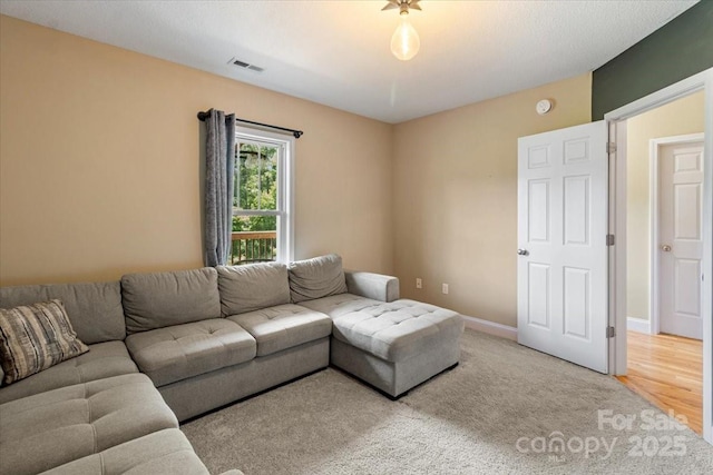 39 Curtis Miles Rd, Alexander, NC 28701 - living room featuring baseboards