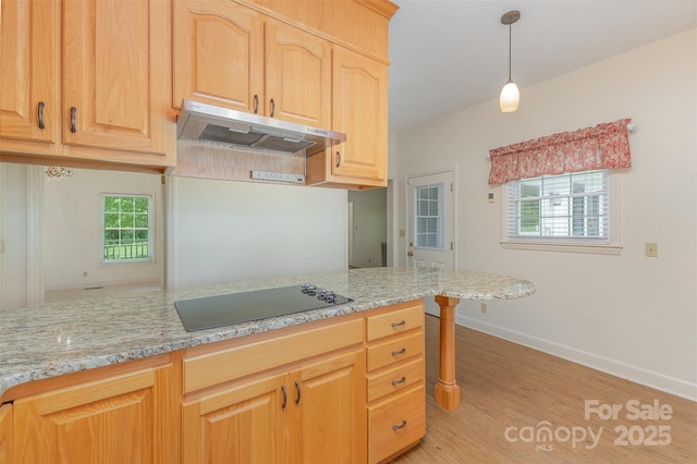 130 Merton Rd, Lawndale, NC 28090 - kitchen featuring under cabinet range hood, black electric cooktop, light wood-style flooring, and light stone counters