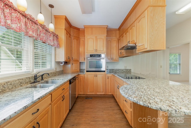 130 Merton Rd, Lawndale, NC 28090 - kitchen with stainless steel appliances, a sink, a peninsula, under cabinet range hood, and light wood-style flooring